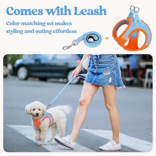rabbitgoo Dog Harness Small Sized and Leash Set, Step-in Puppy Pet Vest - Image 6