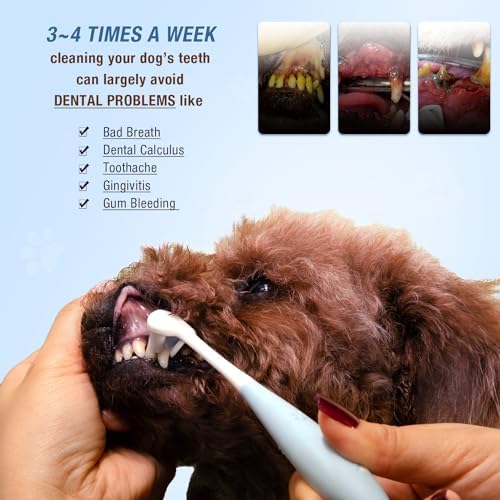 Ultra Soft Nano Dog Toothbrush Kit for Small Breed Pet 3 Styles - Image 6