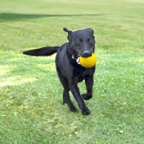 Chew King Flavored Rubber Ball Collection, 4 Inch Chicken Flavor Rubber Fetch Balls 2-Pk - Image 4