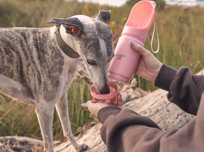 Stainless Steel Dog Travel Water Bottle, Vacuum Insulated Portable Dog Water Dispenser, Drink Cup and Snack Container On The Go, Outdoor Walking, Hiking, Travel (Pink)