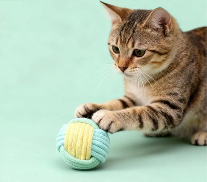 6Pcs Cat Ball Toy, Pet Chew Toy, Biting Ball for Cats, Cats Toys for Indoor, Interactive Cat Chew Toys for Kitty Kitten