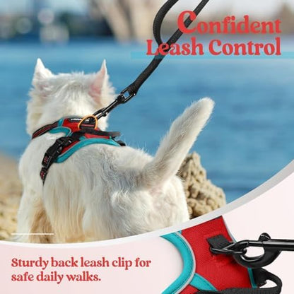 rabbitgoo Dog Harness, No Pull for Small Dogs with 2 Leash Clips, Pet Vest - Image 6