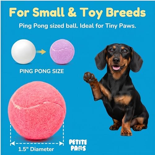Colorful Squeaky Tennis Balls for Small Dogs and Puppies - 1.5 Inch - 12 Pack - Dog Training Toys for Positive Reinforcement, Interactive Squeaker Ball To Engage Attention Outside, Ball Launcher Fetch - Image 3