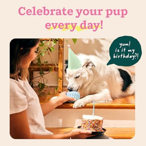 WOOF Pupsicle Interactive Dog Ball Toy for Dogs Large 25-75 lbs - Blue - Image 3