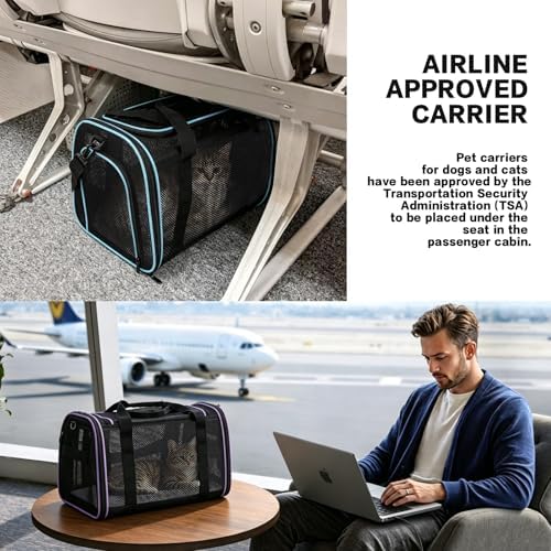 Cat Carrier, Soft-Sided Pet Carrier Bag, Breathable Mesh, Black (Purple, 20 * 13 * 13) - Image 4