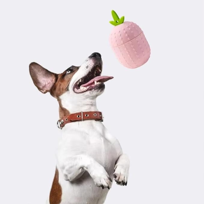 Cat Dog Slow Feeder Set Lucky Clover Lick Mat & Pineapple Puzzle Toy Food Grade Silicone Easy to Clean Anti-Slip Base Pet Accessories (Puzzle Toy-5 2pcs)