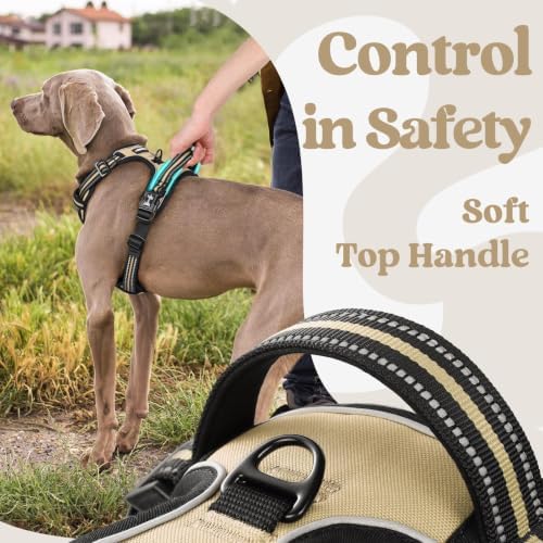 rabbitgoo Dog Harness Small Sized, Updated Easy On & Off with 3 Buckles - Image 5