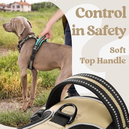 rabbitgoo Dog Harness Small Sized, Updated Easy On & Off with 3 Buckles - Image 5