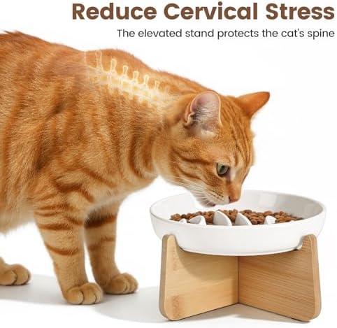PETTOM Slow Feeder Cat Bowl Elevated Ceramic with Bamboo Stand, Raised Pet Puzzle Dishes for Indoor Cats Small Dog, Anti Vomit Cat Bowl for Wet & Dry Food - Image 3
