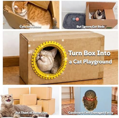 Cat Self Groomer Arch for Cardboard Boxes (Yellow | Start Kit) - Image 6
