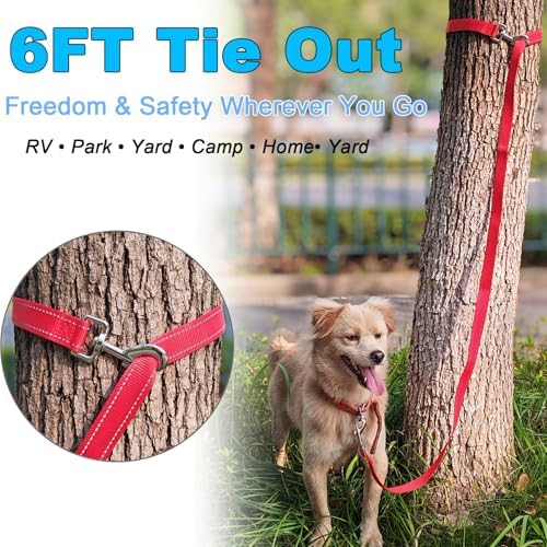 6FT Tie Out Dog Leash Dog Tie down 1"Wide Reflective Nylon Tether - Image 2