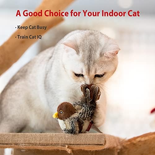 Gigwi Chirping Bird Cat Toy Set, Interactive Chasing Toy for Indoor Cat, Motion Activated Kitten Play Toys, Squeaky Cats Animal Feather Toy for All Breeds Cats Kicker - Image 5