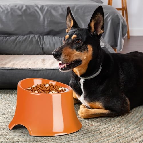 Tilted Elevated Dog Bowls Non-Slip & Non-Spill Pet Feeder with Elevated Detachable Melamine Stand, High Capacity Tilted Dog Bowl for Medium Small Size Dogs M/2 Cup Orange - Image 6