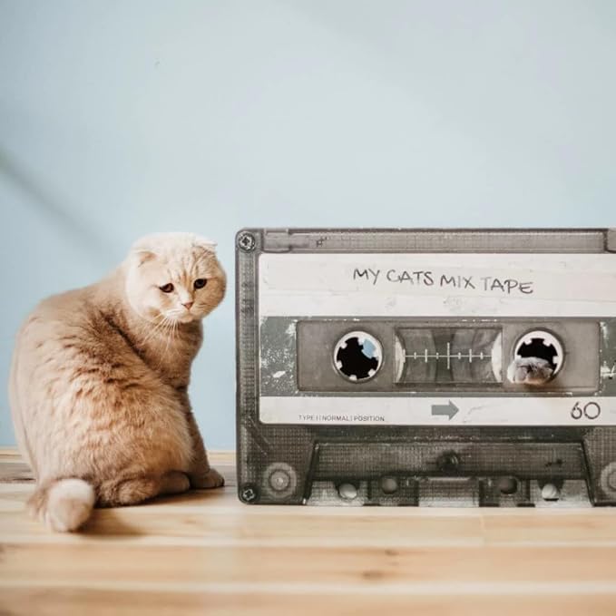 Mixtape Cardboard Cat Scratcher, Large (54 x 31 x 35 cm), Black