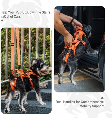 OneTigris Lift Harness for Small Dogs XS, Sling Carrier to Help Lift and Walk, Outdoor Full Body Support with Reflective Straps for Back Legs - Image 5