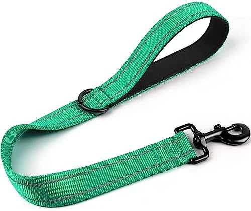 Joytale Short Dog Leash for Close Control & Training, 24", Teal by Joytale