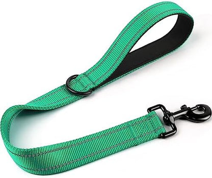 Joytale Short Dog Leash for Close Control & Training, 24", Teal by Joytale