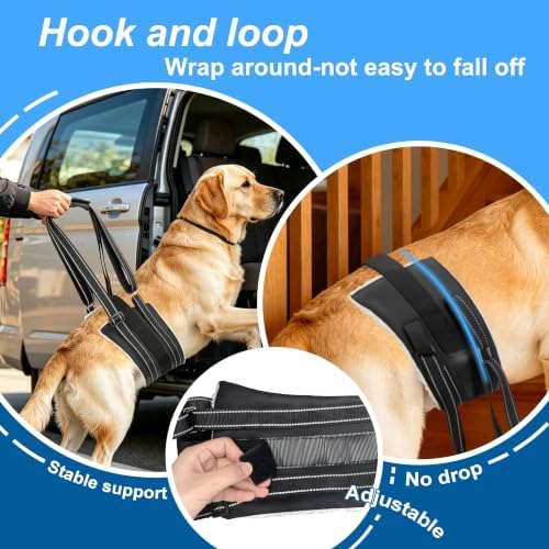 Dog Lift Harness for Large Dogs, Curved Rear Edge for Your Dog’s Comfort, Adjustable Hind Leg Support Sling for Walking and Stair Assistance, Size L - Image 4