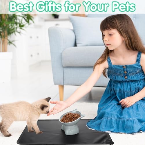 3 Pcs Raised Cat Bowl 15° Elevated Cat Food Bowl Tilted Cats Bowls - Image 6