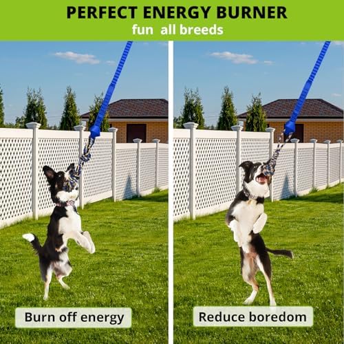 Dog Hanging Bungee Tug Toy: Interactive Tether Tug-of-War for Pitbull Small to Large Dogs to Exercise and Training Equipment - Outdoor Tree Tugger Dog Rope Toy with 2 Chew Rope Toys - Blue - Image 5