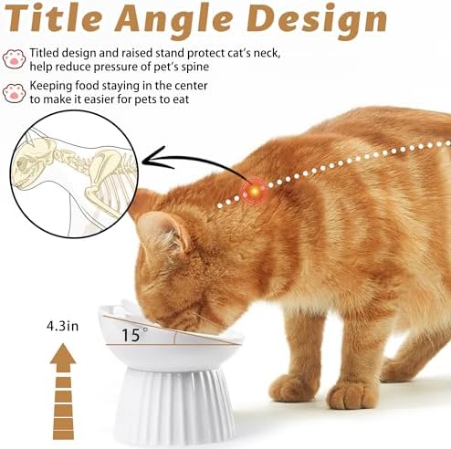 Ceramic Raised Cat Bowl，Tilted Raised Cat Bowl Anti Vomit Cat Bowls for Indoor Cats Whisker Friendly Pet Feeder for Cats Puppies, Microwave and Dishwasher Safe - Image 3