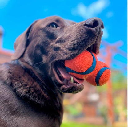 Chuckit! Ultra Tumbler Dog Fetch Toy - Image 2