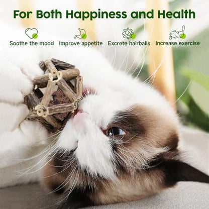 Potaroma Catnip Toys, 3Pcs Cat Toys Natural Silvervine Stick Cage Balls & Bell Ball for Indoor Cats, Kitten Cleaning Teeth Molar Matatabi Cat Chew Toy All Breeds - Image 3