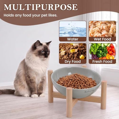 15° Slanted Rim Ceramic Cat Bowl, Anti-Spill for Small Cats - Image 6