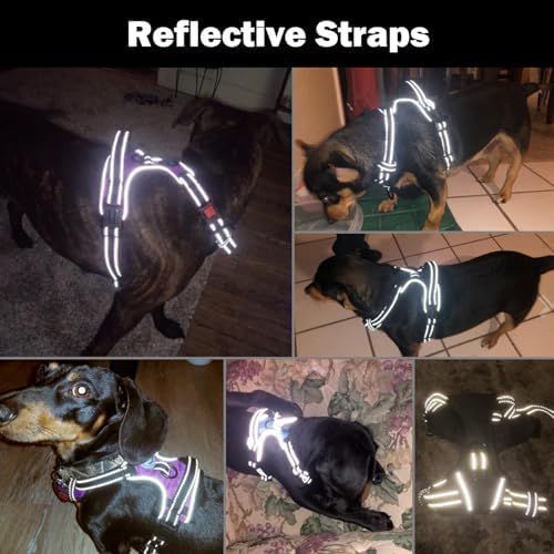 PHOEPET No Pull Dog Harness Medium Reflective Front Clip Vest with Handle - Image 5