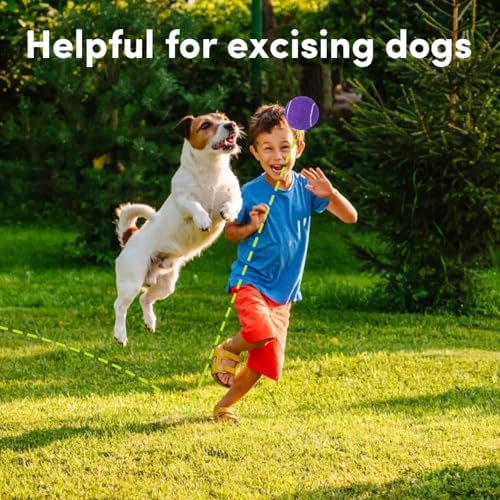 ZIYIZE Mini Tennis Balls, 6 Pack 2 inch Dog Tennis Balls, Easy Catching Pet Playing Ball for 2 inch Dog Ball Launcher Colour Mixture - Image 6