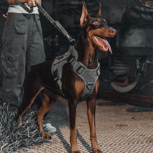 OneTigris Tactical Bungee Leash with 2 Handles Quick Release (Grey) - Image 6