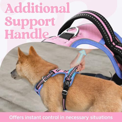rabbitgoo Dog Harness Small Sized, No Pull 3 Buckles Easy On & Off - Image 4
