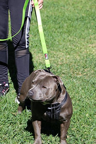 Primal Pet Gear Dog Leash 6ft Long,Traffic Padded Two Handle,Heavy Duty,Reflective Double Handles Lead for Control Safety Training,Leashes for Large Dogs or Medium Dogs,Dual Handles Leads(Green) - Image 3