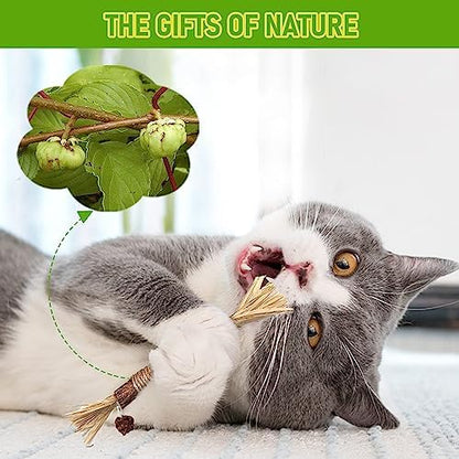 BAWAN Silvervine Sticks Cat Chew Toys for Indoor Cats Dental Care Teeth Cleaning, Natural Kitten & Cat Teething Toys for Health, Cat Chew Stick Suitable for All Breeds of Aggressive Chewers Cat - Image 4