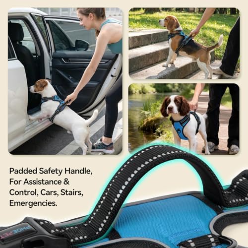 PHOEPET No Pull Dog Harnesses for Small Puppies Reflective Adjustable - Image 4