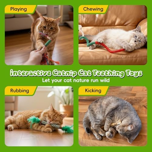 Silvervine Sticks for Cats & Cat Chew Rope Toys for Indoor Cats Dental Care Teeth Cleaning, Kitten & Cat Teething Toys for Health, Cat Chew Stick Suitable for All Breeds of Aggressive Chewers Cat 1 - Image 4