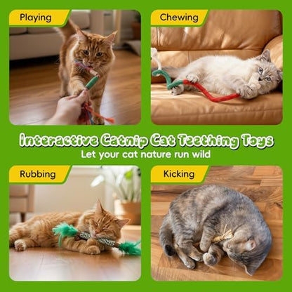 Silvervine Sticks for Cats & Cat Chew Rope Toys for Indoor Cats Dental Care Teeth Cleaning, Kitten & Cat Teething Toys for Health, Cat Chew Stick Suitable for All Breeds of Aggressive Chewers Cat 1 - Image 4