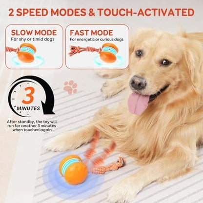 Interactive Dog Ball,Random Path Electric Moving Dogs Toy with Rope - Image 4