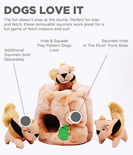 Outward Hound Hide-A-Squirrel Plush Squeaky Dog Toy, Medium, 6.5" x 6.5" - Image 4