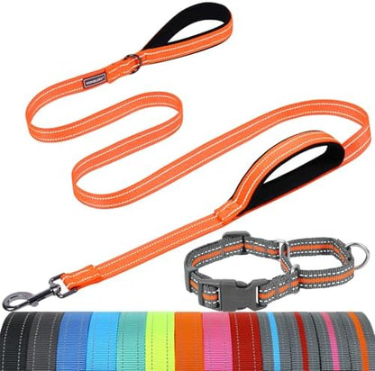 VIVAGLORY Double Handle Dog Leash Twingrip, 5ft x 1in, S, Orange Grey by VIVAGLORY