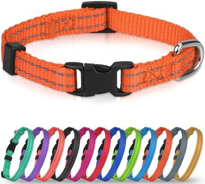 Joytale Feather-Light Puppy Collar for Extra Small Dogs, 3/8", Orange by Joytale