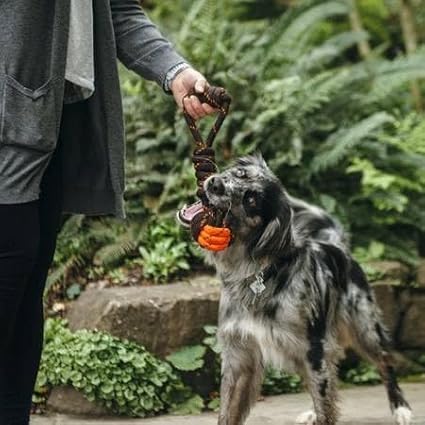 P.L.A.Y. Cute Outdoor Dog Toys - Scout & About Tug Ball Rope Toy, Great for Puppies & Small, Medium, Large Dogs - Machine Washable, Ultra-Durable, Good for Agility Training, Tugging, Fetch (Small)