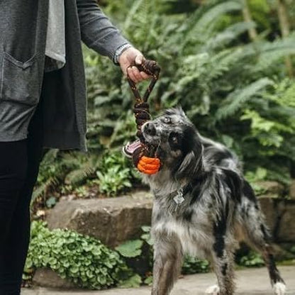 P.L.A.Y. Cute Outdoor Dog Toys - Scout & About Tug Ball Rope Toy, Great for Puppies & Small, Medium, Large Dogs - Machine Washable, Ultra-Durable, Good for Agility Training, Tugging, Fetch (Small)