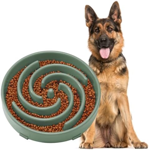 JASGOOD Slow Feeder Dogs Bowl for Large Medium Dogs,Anti-Gulping Pet Slower Food Feeding Bowls by JASGOOD