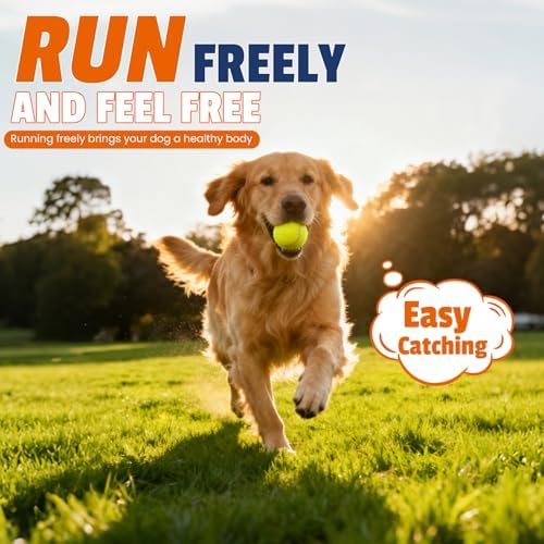 FURWEY Yellow Tennis Balls for Dogs, 2.5 inches, 80 Pack, Non Squeaky - Image 5