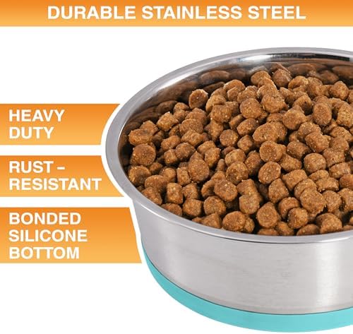 Neater Pet Brands Stainless Steel Dog Bowls with Non-Slip Rubber Bottom – Set of 2, 8 Cup (64 oz), Teal - Heavy Duty Metal Dog Bowl, Dishwasher Safe, Food or Water Bowl, Ideal for Large Dogs - Image 2