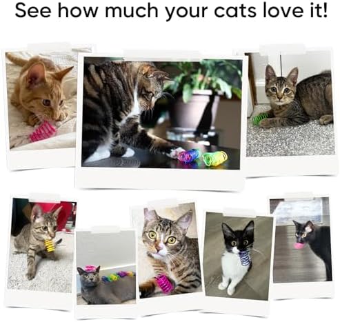 Cat Toys for Indoor Cats, 24 Pack Interactive Cat Spring Toys - Image 5