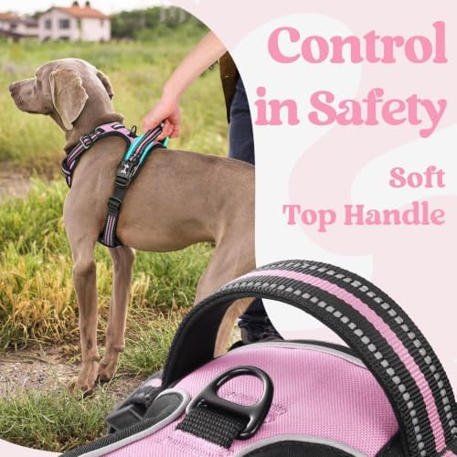 rabbitgoo Dog Harness Medium Sized, Updated Easy On & Off with 3 Buckles - Image 5