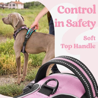 rabbitgoo Dog Harness Small Sized, Updated Easy On & Off with 3 Buckles - Image 5