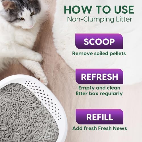 Fresh News MAX Scented Multi-Cat Litter, Non-Clumping, 20 lb - Image 5